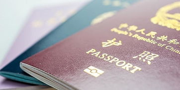 旅行带的证件：全面而安全的旅程规划